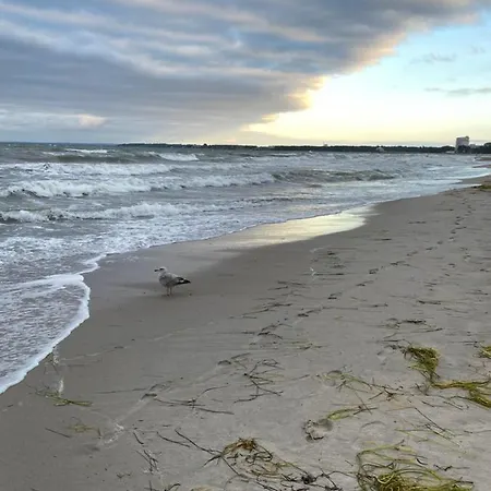 Strandallee Timmendorfer Strand