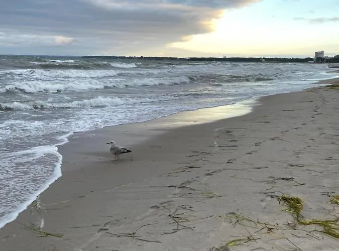 Strandallee Timmendorfer Strand